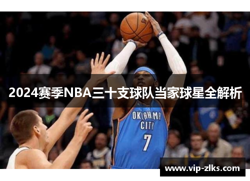 2024赛季NBA三十支球队当家球星全解析